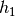 h_{1}