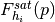 F^{sat}_{h_{i}}(p)
