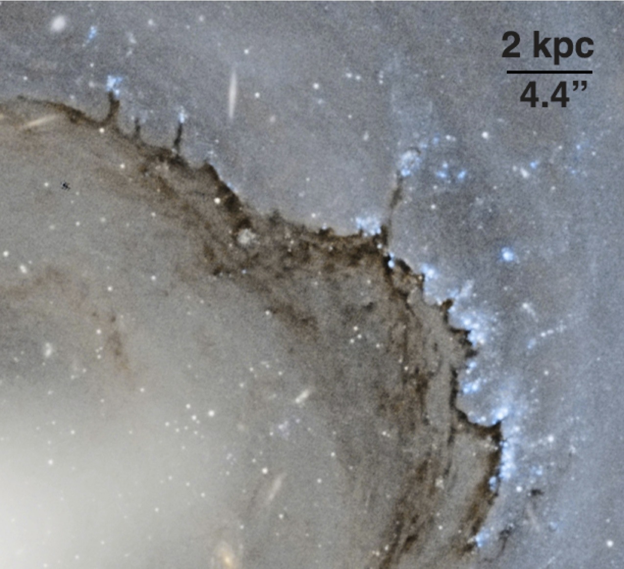 NGC 4291 dust front