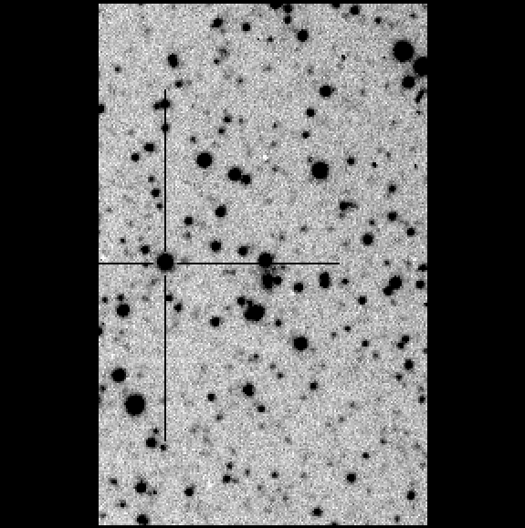 エリンギ(*´꒳`*) ② Alexa Fluor 647 anti-mouse CD11c Antibody anti-CD11c - N418